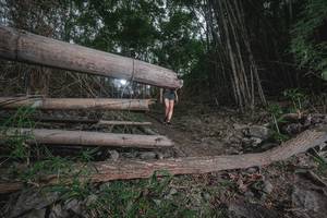 BIB: 
                            <button type="button" onclick="openModal(18536146)" class="btn btn-primary btn-sm float-right btn-popup" data-toggle="modal" data-target=".modal-high-quality">
                        <i class="fas fa-shopping-cart"></i> Add to Cart
                    </button>
                                            <button type="button" onclick="isThisMe(18536146, true)" class="btn btn-success btn-sm float-right btn-popup btn-isme hidden" data-toggle="tooltip" data-placement="bottom" title="นี่คือรูปของคุณใช่ไหม คลิกที่นี่เพื่อเอาเข้าอัลบั้ม">
                        <i class="fas fa-plus"></i> Add to album
                    </button>
                    <button type="button" onclick="isThisMe(18536146, false)" class="btn btn-warning btn-sm float-right btn-popup btn-isnotme hidden">
                        <i class="fas fa-ban"></i> Remove from album
                    </button>