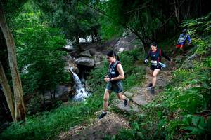 BIB: 
                            <button type="button" onclick="openModal(18617101)" class="btn btn-primary btn-sm float-right btn-popup" data-toggle="modal" data-target=".modal-high-quality">
                        <i class="fas fa-shopping-cart"></i> Add to Cart
                    </button>
                                            <button type="button" onclick="isThisMe(18617101, true)" class="btn btn-success btn-sm float-right btn-popup btn-isme hidden" data-toggle="tooltip" data-placement="bottom" title="นี่คือรูปของคุณใช่ไหม คลิกที่นี่เพื่อเอาเข้าอัลบั้ม">
                        <i class="fas fa-plus"></i> Add to album
                    </button>
                    <button type="button" onclick="isThisMe(18617101, false)" class="btn btn-warning btn-sm float-right btn-popup btn-isnotme hidden">
                        <i class="fas fa-ban"></i> Remove from album
                    </button>