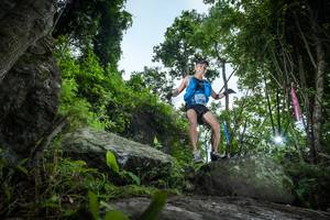 BIB: 
                            <button type="button" onclick="openModal(18537483)" class="btn btn-primary btn-sm float-right btn-popup" data-toggle="modal" data-target=".modal-high-quality">
                        <i class="fas fa-shopping-cart"></i> Add to Cart
                    </button>
                                            <button type="button" onclick="isThisMe(18537483, true)" class="btn btn-success btn-sm float-right btn-popup btn-isme hidden" data-toggle="tooltip" data-placement="bottom" title="นี่คือรูปของคุณใช่ไหม คลิกที่นี่เพื่อเอาเข้าอัลบั้ม">
                        <i class="fas fa-plus"></i> Add to album
                    </button>
                    <button type="button" onclick="isThisMe(18537483, false)" class="btn btn-warning btn-sm float-right btn-popup btn-isnotme hidden">
                        <i class="fas fa-ban"></i> Remove from album
                    </button>