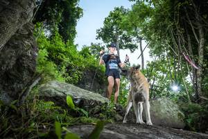 BIB: 
                            <button type="button" onclick="openModal(18537866)" class="btn btn-primary btn-sm float-right btn-popup" data-toggle="modal" data-target=".modal-high-quality">
                        <i class="fas fa-shopping-cart"></i> Add to Cart
                    </button>
                                            <button type="button" onclick="isThisMe(18537866, true)" class="btn btn-success btn-sm float-right btn-popup btn-isme hidden" data-toggle="tooltip" data-placement="bottom" title="นี่คือรูปของคุณใช่ไหม คลิกที่นี่เพื่อเอาเข้าอัลบั้ม">
                        <i class="fas fa-plus"></i> Add to album
                    </button>
                    <button type="button" onclick="isThisMe(18537866, false)" class="btn btn-warning btn-sm float-right btn-popup btn-isnotme hidden">
                        <i class="fas fa-ban"></i> Remove from album
                    </button>