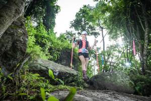 BIB: 
                            <button type="button" onclick="openModal(18537468)" class="btn btn-primary btn-sm float-right btn-popup" data-toggle="modal" data-target=".modal-high-quality">
                        <i class="fas fa-shopping-cart"></i> Add to Cart
                    </button>
                                            <button type="button" onclick="isThisMe(18537468, true)" class="btn btn-success btn-sm float-right btn-popup btn-isme hidden" data-toggle="tooltip" data-placement="bottom" title="นี่คือรูปของคุณใช่ไหม คลิกที่นี่เพื่อเอาเข้าอัลบั้ม">
                        <i class="fas fa-plus"></i> Add to album
                    </button>
                    <button type="button" onclick="isThisMe(18537468, false)" class="btn btn-warning btn-sm float-right btn-popup btn-isnotme hidden">
                        <i class="fas fa-ban"></i> Remove from album
                    </button>