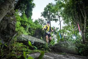 BIB: 
                            <button type="button" onclick="openModal(18537386)" class="btn btn-primary btn-sm float-right btn-popup" data-toggle="modal" data-target=".modal-high-quality">
                        <i class="fas fa-shopping-cart"></i> Add to Cart
                    </button>
                                            <button type="button" onclick="isThisMe(18537386, true)" class="btn btn-success btn-sm float-right btn-popup btn-isme hidden" data-toggle="tooltip" data-placement="bottom" title="นี่คือรูปของคุณใช่ไหม คลิกที่นี่เพื่อเอาเข้าอัลบั้ม">
                        <i class="fas fa-plus"></i> Add to album
                    </button>
                    <button type="button" onclick="isThisMe(18537386, false)" class="btn btn-warning btn-sm float-right btn-popup btn-isnotme hidden">
                        <i class="fas fa-ban"></i> Remove from album
                    </button>