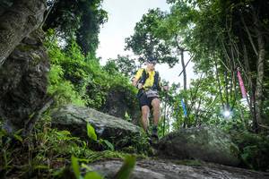 BIB: 
                            <button type="button" onclick="openModal(18537388)" class="btn btn-primary btn-sm float-right btn-popup" data-toggle="modal" data-target=".modal-high-quality">
                        <i class="fas fa-shopping-cart"></i> Add to Cart
                    </button>
                                            <button type="button" onclick="isThisMe(18537388, true)" class="btn btn-success btn-sm float-right btn-popup btn-isme hidden" data-toggle="tooltip" data-placement="bottom" title="นี่คือรูปของคุณใช่ไหม คลิกที่นี่เพื่อเอาเข้าอัลบั้ม">
                        <i class="fas fa-plus"></i> Add to album
                    </button>
                    <button type="button" onclick="isThisMe(18537388, false)" class="btn btn-warning btn-sm float-right btn-popup btn-isnotme hidden">
                        <i class="fas fa-ban"></i> Remove from album
                    </button>