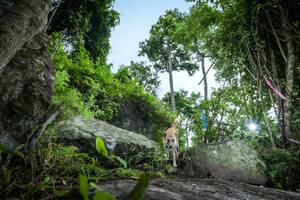 BIB: 
                            <button type="button" onclick="openModal(18537864)" class="btn btn-primary btn-sm float-right btn-popup" data-toggle="modal" data-target=".modal-high-quality">
                        <i class="fas fa-shopping-cart"></i> Add to Cart
                    </button>
                                            <button type="button" onclick="isThisMe(18537864, true)" class="btn btn-success btn-sm float-right btn-popup btn-isme hidden" data-toggle="tooltip" data-placement="bottom" title="นี่คือรูปของคุณใช่ไหม คลิกที่นี่เพื่อเอาเข้าอัลบั้ม">
                        <i class="fas fa-plus"></i> Add to album
                    </button>
                    <button type="button" onclick="isThisMe(18537864, false)" class="btn btn-warning btn-sm float-right btn-popup btn-isnotme hidden">
                        <i class="fas fa-ban"></i> Remove from album
                    </button>