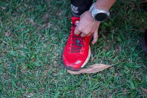 BIB: 
                            <button type="button" onclick="openModal(19590519)" class="btn btn-primary btn-sm float-right btn-popup" data-toggle="modal" data-target=".modal-high-quality">
                        <i class="fas fa-shopping-cart"></i> Add to Cart
                    </button>
                                            <button type="button" onclick="isThisMe(19590519, true)" class="btn btn-success btn-sm float-right btn-popup btn-isme hidden" data-toggle="tooltip" data-placement="bottom" title="นี่คือรูปของคุณใช่ไหม คลิกที่นี่เพื่อเอาเข้าอัลบั้ม">
                        <i class="fas fa-plus"></i> Add to album
                    </button>
                    <button type="button" onclick="isThisMe(19590519, false)" class="btn btn-warning btn-sm float-right btn-popup btn-isnotme hidden">
                        <i class="fas fa-ban"></i> Remove from album
                    </button>