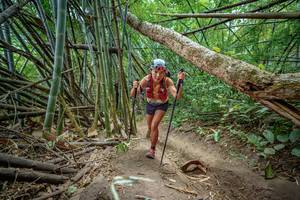 BIB: 
                            <button type="button" onclick="openModal(19589449)" class="btn btn-primary btn-sm float-right btn-popup" data-toggle="modal" data-target=".modal-high-quality">
                        <i class="fas fa-shopping-cart"></i> Add to Cart
                    </button>
                                            <button type="button" onclick="isThisMe(19589449, true)" class="btn btn-success btn-sm float-right btn-popup btn-isme hidden" data-toggle="tooltip" data-placement="bottom" title="นี่คือรูปของคุณใช่ไหม คลิกที่นี่เพื่อเอาเข้าอัลบั้ม">
                        <i class="fas fa-plus"></i> Add to album
                    </button>
                    <button type="button" onclick="isThisMe(19589449, false)" class="btn btn-warning btn-sm float-right btn-popup btn-isnotme hidden">
                        <i class="fas fa-ban"></i> Remove from album
                    </button>