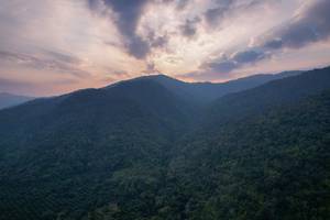 BIB: 
                            <button type="button" onclick="openModal(19589080)" class="btn btn-primary btn-sm float-right btn-popup" data-toggle="modal" data-target=".modal-high-quality">
                        <i class="fas fa-shopping-cart"></i> Add to Cart
                    </button>
                                            <button type="button" onclick="isThisMe(19589080, true)" class="btn btn-success btn-sm float-right btn-popup btn-isme hidden" data-toggle="tooltip" data-placement="bottom" title="นี่คือรูปของคุณใช่ไหม คลิกที่นี่เพื่อเอาเข้าอัลบั้ม">
                        <i class="fas fa-plus"></i> Add to album
                    </button>
                    <button type="button" onclick="isThisMe(19589080, false)" class="btn btn-warning btn-sm float-right btn-popup btn-isnotme hidden">
                        <i class="fas fa-ban"></i> Remove from album
                    </button>