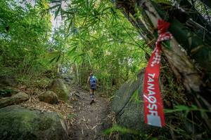 BIB: 
                            <button type="button" onclick="openModal(19589523)" class="btn btn-primary btn-sm float-right btn-popup" data-toggle="modal" data-target=".modal-high-quality">
                        <i class="fas fa-shopping-cart"></i> Add to Cart
                    </button>
                                            <button type="button" onclick="isThisMe(19589523, true)" class="btn btn-success btn-sm float-right btn-popup btn-isme hidden" data-toggle="tooltip" data-placement="bottom" title="นี่คือรูปของคุณใช่ไหม คลิกที่นี่เพื่อเอาเข้าอัลบั้ม">
                        <i class="fas fa-plus"></i> Add to album
                    </button>
                    <button type="button" onclick="isThisMe(19589523, false)" class="btn btn-warning btn-sm float-right btn-popup btn-isnotme hidden">
                        <i class="fas fa-ban"></i> Remove from album
                    </button>