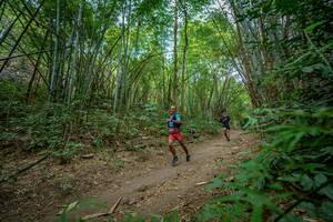 BIB: 
                            <button type="button" onclick="openModal(19589473)" class="btn btn-primary btn-sm float-right btn-popup" data-toggle="modal" data-target=".modal-high-quality">
                        <i class="fas fa-shopping-cart"></i> Add to Cart
                    </button>
                                            <button type="button" onclick="isThisMe(19589473, true)" class="btn btn-success btn-sm float-right btn-popup btn-isme hidden" data-toggle="tooltip" data-placement="bottom" title="นี่คือรูปของคุณใช่ไหม คลิกที่นี่เพื่อเอาเข้าอัลบั้ม">
                        <i class="fas fa-plus"></i> Add to album
                    </button>
                    <button type="button" onclick="isThisMe(19589473, false)" class="btn btn-warning btn-sm float-right btn-popup btn-isnotme hidden">
                        <i class="fas fa-ban"></i> Remove from album
                    </button>