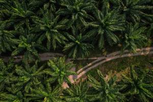 BIB: 
                            <button type="button" onclick="openModal(19589020)" class="btn btn-primary btn-sm float-right btn-popup" data-toggle="modal" data-target=".modal-high-quality">
                        <i class="fas fa-shopping-cart"></i> Add to Cart
                    </button>
                                            <button type="button" onclick="isThisMe(19589020, true)" class="btn btn-success btn-sm float-right btn-popup btn-isme hidden" data-toggle="tooltip" data-placement="bottom" title="นี่คือรูปของคุณใช่ไหม คลิกที่นี่เพื่อเอาเข้าอัลบั้ม">
                        <i class="fas fa-plus"></i> Add to album
                    </button>
                    <button type="button" onclick="isThisMe(19589020, false)" class="btn btn-warning btn-sm float-right btn-popup btn-isnotme hidden">
                        <i class="fas fa-ban"></i> Remove from album
                    </button>