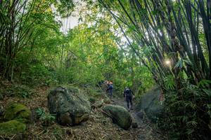 BIB: 
                            <button type="button" onclick="openModal(19589532)" class="btn btn-primary btn-sm float-right btn-popup" data-toggle="modal" data-target=".modal-high-quality">
                        <i class="fas fa-shopping-cart"></i> Add to Cart
                    </button>
                                            <button type="button" onclick="isThisMe(19589532, true)" class="btn btn-success btn-sm float-right btn-popup btn-isme hidden" data-toggle="tooltip" data-placement="bottom" title="นี่คือรูปของคุณใช่ไหม คลิกที่นี่เพื่อเอาเข้าอัลบั้ม">
                        <i class="fas fa-plus"></i> Add to album
                    </button>
                    <button type="button" onclick="isThisMe(19589532, false)" class="btn btn-warning btn-sm float-right btn-popup btn-isnotme hidden">
                        <i class="fas fa-ban"></i> Remove from album
                    </button>