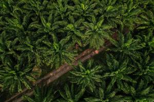 BIB: 
                            <button type="button" onclick="openModal(19589033)" class="btn btn-primary btn-sm float-right btn-popup" data-toggle="modal" data-target=".modal-high-quality">
                        <i class="fas fa-shopping-cart"></i> Add to Cart
                    </button>
                                            <button type="button" onclick="isThisMe(19589033, true)" class="btn btn-success btn-sm float-right btn-popup btn-isme hidden" data-toggle="tooltip" data-placement="bottom" title="นี่คือรูปของคุณใช่ไหม คลิกที่นี่เพื่อเอาเข้าอัลบั้ม">
                        <i class="fas fa-plus"></i> Add to album
                    </button>
                    <button type="button" onclick="isThisMe(19589033, false)" class="btn btn-warning btn-sm float-right btn-popup btn-isnotme hidden">
                        <i class="fas fa-ban"></i> Remove from album
                    </button>