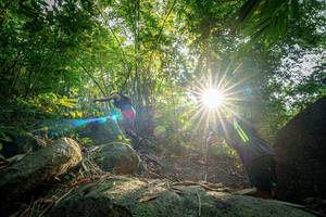 BIB: 
                            <button type="button" onclick="openModal(19589491)" class="btn btn-primary btn-sm float-right btn-popup" data-toggle="modal" data-target=".modal-high-quality">
                        <i class="fas fa-shopping-cart"></i> Add to Cart
                    </button>
                                            <button type="button" onclick="isThisMe(19589491, true)" class="btn btn-success btn-sm float-right btn-popup btn-isme hidden" data-toggle="tooltip" data-placement="bottom" title="นี่คือรูปของคุณใช่ไหม คลิกที่นี่เพื่อเอาเข้าอัลบั้ม">
                        <i class="fas fa-plus"></i> Add to album
                    </button>
                    <button type="button" onclick="isThisMe(19589491, false)" class="btn btn-warning btn-sm float-right btn-popup btn-isnotme hidden">
                        <i class="fas fa-ban"></i> Remove from album
                    </button>