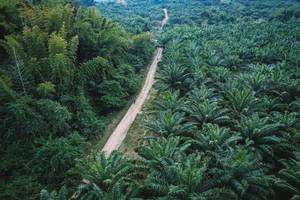 BIB: 
                            <button type="button" onclick="openModal(19589054)" class="btn btn-primary btn-sm float-right btn-popup" data-toggle="modal" data-target=".modal-high-quality">
                        <i class="fas fa-shopping-cart"></i> Add to Cart
                    </button>
                                            <button type="button" onclick="isThisMe(19589054, true)" class="btn btn-success btn-sm float-right btn-popup btn-isme hidden" data-toggle="tooltip" data-placement="bottom" title="นี่คือรูปของคุณใช่ไหม คลิกที่นี่เพื่อเอาเข้าอัลบั้ม">
                        <i class="fas fa-plus"></i> Add to album
                    </button>
                    <button type="button" onclick="isThisMe(19589054, false)" class="btn btn-warning btn-sm float-right btn-popup btn-isnotme hidden">
                        <i class="fas fa-ban"></i> Remove from album
                    </button>