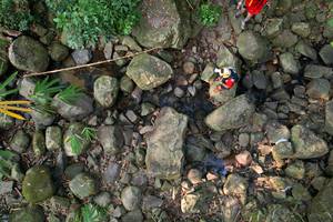 BIB: 
                            <button type="button" onclick="openModal(19589063)" class="btn btn-primary btn-sm float-right btn-popup" data-toggle="modal" data-target=".modal-high-quality">
                        <i class="fas fa-shopping-cart"></i> Add to Cart
                    </button>
                                            <button type="button" onclick="isThisMe(19589063, true)" class="btn btn-success btn-sm float-right btn-popup btn-isme hidden" data-toggle="tooltip" data-placement="bottom" title="นี่คือรูปของคุณใช่ไหม คลิกที่นี่เพื่อเอาเข้าอัลบั้ม">
                        <i class="fas fa-plus"></i> Add to album
                    </button>
                    <button type="button" onclick="isThisMe(19589063, false)" class="btn btn-warning btn-sm float-right btn-popup btn-isnotme hidden">
                        <i class="fas fa-ban"></i> Remove from album
                    </button>