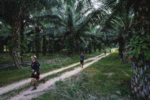 BIB: 
                            <button type="button" onclick="openModal(19589038)" class="btn btn-primary btn-sm float-right btn-popup" data-toggle="modal" data-target=".modal-high-quality">
                        <i class="fas fa-shopping-cart"></i> Add to Cart
                    </button>
                                            <button type="button" onclick="isThisMe(19589038, true)" class="btn btn-success btn-sm float-right btn-popup btn-isme hidden" data-toggle="tooltip" data-placement="bottom" title="นี่คือรูปของคุณใช่ไหม คลิกที่นี่เพื่อเอาเข้าอัลบั้ม">
                        <i class="fas fa-plus"></i> Add to album
                    </button>
                    <button type="button" onclick="isThisMe(19589038, false)" class="btn btn-warning btn-sm float-right btn-popup btn-isnotme hidden">
                        <i class="fas fa-ban"></i> Remove from album
                    </button>