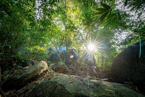 BIB: 
                            <button type="button" onclick="openModal(19589501)" class="btn btn-primary btn-sm float-right btn-popup" data-toggle="modal" data-target=".modal-high-quality">
                        <i class="fas fa-shopping-cart"></i> Add to Cart
                    </button>
                                            <button type="button" onclick="isThisMe(19589501, true)" class="btn btn-success btn-sm float-right btn-popup btn-isme hidden" data-toggle="tooltip" data-placement="bottom" title="นี่คือรูปของคุณใช่ไหม คลิกที่นี่เพื่อเอาเข้าอัลบั้ม">
                        <i class="fas fa-plus"></i> Add to album
                    </button>
                    <button type="button" onclick="isThisMe(19589501, false)" class="btn btn-warning btn-sm float-right btn-popup btn-isnotme hidden">
                        <i class="fas fa-ban"></i> Remove from album
                    </button>