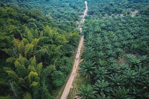 BIB: 
                            <button type="button" onclick="openModal(19589048)" class="btn btn-primary btn-sm float-right btn-popup" data-toggle="modal" data-target=".modal-high-quality">
                        <i class="fas fa-shopping-cart"></i> Add to Cart
                    </button>
                                            <button type="button" onclick="isThisMe(19589048, true)" class="btn btn-success btn-sm float-right btn-popup btn-isme hidden" data-toggle="tooltip" data-placement="bottom" title="นี่คือรูปของคุณใช่ไหม คลิกที่นี่เพื่อเอาเข้าอัลบั้ม">
                        <i class="fas fa-plus"></i> Add to album
                    </button>
                    <button type="button" onclick="isThisMe(19589048, false)" class="btn btn-warning btn-sm float-right btn-popup btn-isnotme hidden">
                        <i class="fas fa-ban"></i> Remove from album
                    </button>