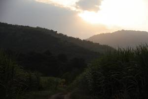 BIB: 
                            <button type="button" onclick="openModal(19588955)" class="btn btn-primary btn-sm float-right btn-popup" data-toggle="modal" data-target=".modal-high-quality">
                        <i class="fas fa-shopping-cart"></i> Add to Cart
                    </button>
                                            <button type="button" onclick="isThisMe(19588955, true)" class="btn btn-success btn-sm float-right btn-popup btn-isme hidden" data-toggle="tooltip" data-placement="bottom" title="นี่คือรูปของคุณใช่ไหม คลิกที่นี่เพื่อเอาเข้าอัลบั้ม">
                        <i class="fas fa-plus"></i> Add to album
                    </button>
                    <button type="button" onclick="isThisMe(19588955, false)" class="btn btn-warning btn-sm float-right btn-popup btn-isnotme hidden">
                        <i class="fas fa-ban"></i> Remove from album
                    </button>