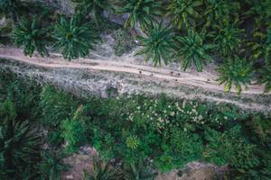 BIB: 
                            <button type="button" onclick="openModal(19589052)" class="btn btn-primary btn-sm float-right btn-popup" data-toggle="modal" data-target=".modal-high-quality">
                        <i class="fas fa-shopping-cart"></i> Add to Cart
                    </button>
                                            <button type="button" onclick="isThisMe(19589052, true)" class="btn btn-success btn-sm float-right btn-popup btn-isme hidden" data-toggle="tooltip" data-placement="bottom" title="นี่คือรูปของคุณใช่ไหม คลิกที่นี่เพื่อเอาเข้าอัลบั้ม">
                        <i class="fas fa-plus"></i> Add to album
                    </button>
                    <button type="button" onclick="isThisMe(19589052, false)" class="btn btn-warning btn-sm float-right btn-popup btn-isnotme hidden">
                        <i class="fas fa-ban"></i> Remove from album
                    </button>