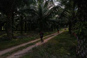 BIB: 
                            <button type="button" onclick="openModal(19589035)" class="btn btn-primary btn-sm float-right btn-popup" data-toggle="modal" data-target=".modal-high-quality">
                        <i class="fas fa-shopping-cart"></i> Add to Cart
                    </button>
                                            <button type="button" onclick="isThisMe(19589035, true)" class="btn btn-success btn-sm float-right btn-popup btn-isme hidden" data-toggle="tooltip" data-placement="bottom" title="นี่คือรูปของคุณใช่ไหม คลิกที่นี่เพื่อเอาเข้าอัลบั้ม">
                        <i class="fas fa-plus"></i> Add to album
                    </button>
                    <button type="button" onclick="isThisMe(19589035, false)" class="btn btn-warning btn-sm float-right btn-popup btn-isnotme hidden">
                        <i class="fas fa-ban"></i> Remove from album
                    </button>