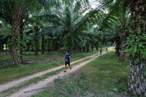 BIB: 
                            <button type="button" onclick="openModal(19589043)" class="btn btn-primary btn-sm float-right btn-popup" data-toggle="modal" data-target=".modal-high-quality">
                        <i class="fas fa-shopping-cart"></i> Add to Cart
                    </button>
                                            <button type="button" onclick="isThisMe(19589043, true)" class="btn btn-success btn-sm float-right btn-popup btn-isme hidden" data-toggle="tooltip" data-placement="bottom" title="นี่คือรูปของคุณใช่ไหม คลิกที่นี่เพื่อเอาเข้าอัลบั้ม">
                        <i class="fas fa-plus"></i> Add to album
                    </button>
                    <button type="button" onclick="isThisMe(19589043, false)" class="btn btn-warning btn-sm float-right btn-popup btn-isnotme hidden">
                        <i class="fas fa-ban"></i> Remove from album
                    </button>