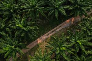 BIB: 
                            <button type="button" onclick="openModal(19589023)" class="btn btn-primary btn-sm float-right btn-popup" data-toggle="modal" data-target=".modal-high-quality">
                        <i class="fas fa-shopping-cart"></i> Add to Cart
                    </button>
                                            <button type="button" onclick="isThisMe(19589023, true)" class="btn btn-success btn-sm float-right btn-popup btn-isme hidden" data-toggle="tooltip" data-placement="bottom" title="นี่คือรูปของคุณใช่ไหม คลิกที่นี่เพื่อเอาเข้าอัลบั้ม">
                        <i class="fas fa-plus"></i> Add to album
                    </button>
                    <button type="button" onclick="isThisMe(19589023, false)" class="btn btn-warning btn-sm float-right btn-popup btn-isnotme hidden">
                        <i class="fas fa-ban"></i> Remove from album
                    </button>