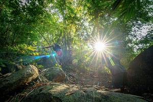 BIB: 
                            <button type="button" onclick="openModal(19589494)" class="btn btn-primary btn-sm float-right btn-popup" data-toggle="modal" data-target=".modal-high-quality">
                        <i class="fas fa-shopping-cart"></i> Add to Cart
                    </button>
                                            <button type="button" onclick="isThisMe(19589494, true)" class="btn btn-success btn-sm float-right btn-popup btn-isme hidden" data-toggle="tooltip" data-placement="bottom" title="นี่คือรูปของคุณใช่ไหม คลิกที่นี่เพื่อเอาเข้าอัลบั้ม">
                        <i class="fas fa-plus"></i> Add to album
                    </button>
                    <button type="button" onclick="isThisMe(19589494, false)" class="btn btn-warning btn-sm float-right btn-popup btn-isnotme hidden">
                        <i class="fas fa-ban"></i> Remove from album
                    </button>