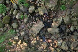 BIB: 
                            <button type="button" onclick="openModal(19589057)" class="btn btn-primary btn-sm float-right btn-popup" data-toggle="modal" data-target=".modal-high-quality">
                        <i class="fas fa-shopping-cart"></i> Add to Cart
                    </button>
                                            <button type="button" onclick="isThisMe(19589057, true)" class="btn btn-success btn-sm float-right btn-popup btn-isme hidden" data-toggle="tooltip" data-placement="bottom" title="นี่คือรูปของคุณใช่ไหม คลิกที่นี่เพื่อเอาเข้าอัลบั้ม">
                        <i class="fas fa-plus"></i> Add to album
                    </button>
                    <button type="button" onclick="isThisMe(19589057, false)" class="btn btn-warning btn-sm float-right btn-popup btn-isnotme hidden">
                        <i class="fas fa-ban"></i> Remove from album
                    </button>