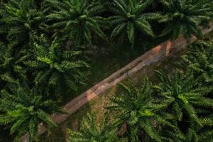 BIB: 
                            <button type="button" onclick="openModal(19589026)" class="btn btn-primary btn-sm float-right btn-popup" data-toggle="modal" data-target=".modal-high-quality">
                        <i class="fas fa-shopping-cart"></i> Add to Cart
                    </button>
                                            <button type="button" onclick="isThisMe(19589026, true)" class="btn btn-success btn-sm float-right btn-popup btn-isme hidden" data-toggle="tooltip" data-placement="bottom" title="นี่คือรูปของคุณใช่ไหม คลิกที่นี่เพื่อเอาเข้าอัลบั้ม">
                        <i class="fas fa-plus"></i> Add to album
                    </button>
                    <button type="button" onclick="isThisMe(19589026, false)" class="btn btn-warning btn-sm float-right btn-popup btn-isnotme hidden">
                        <i class="fas fa-ban"></i> Remove from album
                    </button>