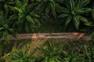 BIB: 
                            <button type="button" onclick="openModal(19589019)" class="btn btn-primary btn-sm float-right btn-popup" data-toggle="modal" data-target=".modal-high-quality">
                        <i class="fas fa-shopping-cart"></i> Add to Cart
                    </button>
                                            <button type="button" onclick="isThisMe(19589019, true)" class="btn btn-success btn-sm float-right btn-popup btn-isme hidden" data-toggle="tooltip" data-placement="bottom" title="นี่คือรูปของคุณใช่ไหม คลิกที่นี่เพื่อเอาเข้าอัลบั้ม">
                        <i class="fas fa-plus"></i> Add to album
                    </button>
                    <button type="button" onclick="isThisMe(19589019, false)" class="btn btn-warning btn-sm float-right btn-popup btn-isnotme hidden">
                        <i class="fas fa-ban"></i> Remove from album
                    </button>