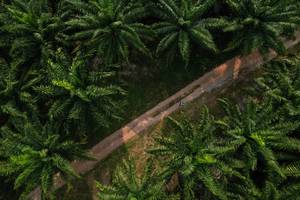 BIB: 
                            <button type="button" onclick="openModal(19589022)" class="btn btn-primary btn-sm float-right btn-popup" data-toggle="modal" data-target=".modal-high-quality">
                        <i class="fas fa-shopping-cart"></i> Add to Cart
                    </button>
                                            <button type="button" onclick="isThisMe(19589022, true)" class="btn btn-success btn-sm float-right btn-popup btn-isme hidden" data-toggle="tooltip" data-placement="bottom" title="นี่คือรูปของคุณใช่ไหม คลิกที่นี่เพื่อเอาเข้าอัลบั้ม">
                        <i class="fas fa-plus"></i> Add to album
                    </button>
                    <button type="button" onclick="isThisMe(19589022, false)" class="btn btn-warning btn-sm float-right btn-popup btn-isnotme hidden">
                        <i class="fas fa-ban"></i> Remove from album
                    </button>