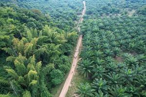 BIB: 
                            <button type="button" onclick="openModal(19589051)" class="btn btn-primary btn-sm float-right btn-popup" data-toggle="modal" data-target=".modal-high-quality">
                        <i class="fas fa-shopping-cart"></i> Add to Cart
                    </button>
                                            <button type="button" onclick="isThisMe(19589051, true)" class="btn btn-success btn-sm float-right btn-popup btn-isme hidden" data-toggle="tooltip" data-placement="bottom" title="นี่คือรูปของคุณใช่ไหม คลิกที่นี่เพื่อเอาเข้าอัลบั้ม">
                        <i class="fas fa-plus"></i> Add to album
                    </button>
                    <button type="button" onclick="isThisMe(19589051, false)" class="btn btn-warning btn-sm float-right btn-popup btn-isnotme hidden">
                        <i class="fas fa-ban"></i> Remove from album
                    </button>