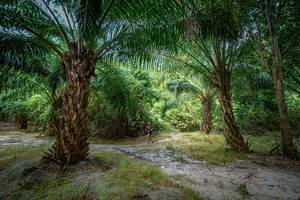 BIB: 
                            <button type="button" onclick="openModal(19589483)" class="btn btn-primary btn-sm float-right btn-popup" data-toggle="modal" data-target=".modal-high-quality">
                        <i class="fas fa-shopping-cart"></i> Add to Cart
                    </button>
                                            <button type="button" onclick="isThisMe(19589483, true)" class="btn btn-success btn-sm float-right btn-popup btn-isme hidden" data-toggle="tooltip" data-placement="bottom" title="นี่คือรูปของคุณใช่ไหม คลิกที่นี่เพื่อเอาเข้าอัลบั้ม">
                        <i class="fas fa-plus"></i> Add to album
                    </button>
                    <button type="button" onclick="isThisMe(19589483, false)" class="btn btn-warning btn-sm float-right btn-popup btn-isnotme hidden">
                        <i class="fas fa-ban"></i> Remove from album
                    </button>