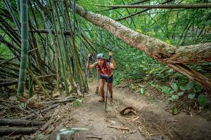 BIB: 
                            <button type="button" onclick="openModal(19589446)" class="btn btn-primary btn-sm float-right btn-popup" data-toggle="modal" data-target=".modal-high-quality">
                        <i class="fas fa-shopping-cart"></i> Add to Cart
                    </button>
                                            <button type="button" onclick="isThisMe(19589446, true)" class="btn btn-success btn-sm float-right btn-popup btn-isme hidden" data-toggle="tooltip" data-placement="bottom" title="นี่คือรูปของคุณใช่ไหม คลิกที่นี่เพื่อเอาเข้าอัลบั้ม">
                        <i class="fas fa-plus"></i> Add to album
                    </button>
                    <button type="button" onclick="isThisMe(19589446, false)" class="btn btn-warning btn-sm float-right btn-popup btn-isnotme hidden">
                        <i class="fas fa-ban"></i> Remove from album
                    </button>