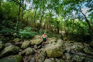 BIB: 
                            <button type="button" onclick="openModal(19589534)" class="btn btn-primary btn-sm float-right btn-popup" data-toggle="modal" data-target=".modal-high-quality">
                        <i class="fas fa-shopping-cart"></i> Add to Cart
                    </button>
                                            <button type="button" onclick="isThisMe(19589534, true)" class="btn btn-success btn-sm float-right btn-popup btn-isme hidden" data-toggle="tooltip" data-placement="bottom" title="นี่คือรูปของคุณใช่ไหม คลิกที่นี่เพื่อเอาเข้าอัลบั้ม">
                        <i class="fas fa-plus"></i> Add to album
                    </button>
                    <button type="button" onclick="isThisMe(19589534, false)" class="btn btn-warning btn-sm float-right btn-popup btn-isnotme hidden">
                        <i class="fas fa-ban"></i> Remove from album
                    </button>