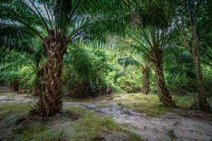 BIB: 
                            <button type="button" onclick="openModal(19589484)" class="btn btn-primary btn-sm float-right btn-popup" data-toggle="modal" data-target=".modal-high-quality">
                        <i class="fas fa-shopping-cart"></i> Add to Cart
                    </button>
                                            <button type="button" onclick="isThisMe(19589484, true)" class="btn btn-success btn-sm float-right btn-popup btn-isme hidden" data-toggle="tooltip" data-placement="bottom" title="นี่คือรูปของคุณใช่ไหม คลิกที่นี่เพื่อเอาเข้าอัลบั้ม">
                        <i class="fas fa-plus"></i> Add to album
                    </button>
                    <button type="button" onclick="isThisMe(19589484, false)" class="btn btn-warning btn-sm float-right btn-popup btn-isnotme hidden">
                        <i class="fas fa-ban"></i> Remove from album
                    </button>