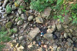 BIB: 
                            <button type="button" onclick="openModal(19589073)" class="btn btn-primary btn-sm float-right btn-popup" data-toggle="modal" data-target=".modal-high-quality">
                        <i class="fas fa-shopping-cart"></i> Add to Cart
                    </button>
                                            <button type="button" onclick="isThisMe(19589073, true)" class="btn btn-success btn-sm float-right btn-popup btn-isme hidden" data-toggle="tooltip" data-placement="bottom" title="นี่คือรูปของคุณใช่ไหม คลิกที่นี่เพื่อเอาเข้าอัลบั้ม">
                        <i class="fas fa-plus"></i> Add to album
                    </button>
                    <button type="button" onclick="isThisMe(19589073, false)" class="btn btn-warning btn-sm float-right btn-popup btn-isnotme hidden">
                        <i class="fas fa-ban"></i> Remove from album
                    </button>