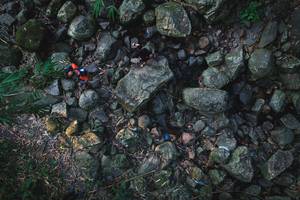 BIB: 
                            <button type="button" onclick="openModal(19589056)" class="btn btn-primary btn-sm float-right btn-popup" data-toggle="modal" data-target=".modal-high-quality">
                        <i class="fas fa-shopping-cart"></i> Add to Cart
                    </button>
                                            <button type="button" onclick="isThisMe(19589056, true)" class="btn btn-success btn-sm float-right btn-popup btn-isme hidden" data-toggle="tooltip" data-placement="bottom" title="นี่คือรูปของคุณใช่ไหม คลิกที่นี่เพื่อเอาเข้าอัลบั้ม">
                        <i class="fas fa-plus"></i> Add to album
                    </button>
                    <button type="button" onclick="isThisMe(19589056, false)" class="btn btn-warning btn-sm float-right btn-popup btn-isnotme hidden">
                        <i class="fas fa-ban"></i> Remove from album
                    </button>