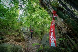 BIB: 
                            <button type="button" onclick="openModal(19589521)" class="btn btn-primary btn-sm float-right btn-popup" data-toggle="modal" data-target=".modal-high-quality">
                        <i class="fas fa-shopping-cart"></i> Add to Cart
                    </button>
                                            <button type="button" onclick="isThisMe(19589521, true)" class="btn btn-success btn-sm float-right btn-popup btn-isme hidden" data-toggle="tooltip" data-placement="bottom" title="นี่คือรูปของคุณใช่ไหม คลิกที่นี่เพื่อเอาเข้าอัลบั้ม">
                        <i class="fas fa-plus"></i> Add to album
                    </button>
                    <button type="button" onclick="isThisMe(19589521, false)" class="btn btn-warning btn-sm float-right btn-popup btn-isnotme hidden">
                        <i class="fas fa-ban"></i> Remove from album
                    </button>