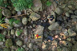 BIB: 
                            <button type="button" onclick="openModal(19589072)" class="btn btn-primary btn-sm float-right btn-popup" data-toggle="modal" data-target=".modal-high-quality">
                        <i class="fas fa-shopping-cart"></i> Add to Cart
                    </button>
                                            <button type="button" onclick="isThisMe(19589072, true)" class="btn btn-success btn-sm float-right btn-popup btn-isme hidden" data-toggle="tooltip" data-placement="bottom" title="นี่คือรูปของคุณใช่ไหม คลิกที่นี่เพื่อเอาเข้าอัลบั้ม">
                        <i class="fas fa-plus"></i> Add to album
                    </button>
                    <button type="button" onclick="isThisMe(19589072, false)" class="btn btn-warning btn-sm float-right btn-popup btn-isnotme hidden">
                        <i class="fas fa-ban"></i> Remove from album
                    </button>