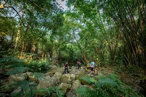 BIB: 
                            <button type="button" onclick="openModal(19589528)" class="btn btn-primary btn-sm float-right btn-popup" data-toggle="modal" data-target=".modal-high-quality">
                        <i class="fas fa-shopping-cart"></i> Add to Cart
                    </button>
                                            <button type="button" onclick="isThisMe(19589528, true)" class="btn btn-success btn-sm float-right btn-popup btn-isme hidden" data-toggle="tooltip" data-placement="bottom" title="นี่คือรูปของคุณใช่ไหม คลิกที่นี่เพื่อเอาเข้าอัลบั้ม">
                        <i class="fas fa-plus"></i> Add to album
                    </button>
                    <button type="button" onclick="isThisMe(19589528, false)" class="btn btn-warning btn-sm float-right btn-popup btn-isnotme hidden">
                        <i class="fas fa-ban"></i> Remove from album
                    </button>