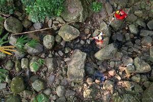 BIB: 
                            <button type="button" onclick="openModal(19589066)" class="btn btn-primary btn-sm float-right btn-popup" data-toggle="modal" data-target=".modal-high-quality">
                        <i class="fas fa-shopping-cart"></i> Add to Cart
                    </button>
                                            <button type="button" onclick="isThisMe(19589066, true)" class="btn btn-success btn-sm float-right btn-popup btn-isme hidden" data-toggle="tooltip" data-placement="bottom" title="นี่คือรูปของคุณใช่ไหม คลิกที่นี่เพื่อเอาเข้าอัลบั้ม">
                        <i class="fas fa-plus"></i> Add to album
                    </button>
                    <button type="button" onclick="isThisMe(19589066, false)" class="btn btn-warning btn-sm float-right btn-popup btn-isnotme hidden">
                        <i class="fas fa-ban"></i> Remove from album
                    </button>