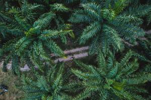 BIB: 
                            <button type="button" onclick="openModal(19589053)" class="btn btn-primary btn-sm float-right btn-popup" data-toggle="modal" data-target=".modal-high-quality">
                        <i class="fas fa-shopping-cart"></i> Add to Cart
                    </button>
                                            <button type="button" onclick="isThisMe(19589053, true)" class="btn btn-success btn-sm float-right btn-popup btn-isme hidden" data-toggle="tooltip" data-placement="bottom" title="นี่คือรูปของคุณใช่ไหม คลิกที่นี่เพื่อเอาเข้าอัลบั้ม">
                        <i class="fas fa-plus"></i> Add to album
                    </button>
                    <button type="button" onclick="isThisMe(19589053, false)" class="btn btn-warning btn-sm float-right btn-popup btn-isnotme hidden">
                        <i class="fas fa-ban"></i> Remove from album
                    </button>