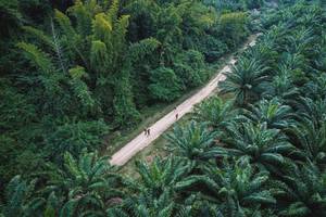 BIB: 
                            <button type="button" onclick="openModal(19589055)" class="btn btn-primary btn-sm float-right btn-popup" data-toggle="modal" data-target=".modal-high-quality">
                        <i class="fas fa-shopping-cart"></i> Add to Cart
                    </button>
                                            <button type="button" onclick="isThisMe(19589055, true)" class="btn btn-success btn-sm float-right btn-popup btn-isme hidden" data-toggle="tooltip" data-placement="bottom" title="นี่คือรูปของคุณใช่ไหม คลิกที่นี่เพื่อเอาเข้าอัลบั้ม">
                        <i class="fas fa-plus"></i> Add to album
                    </button>
                    <button type="button" onclick="isThisMe(19589055, false)" class="btn btn-warning btn-sm float-right btn-popup btn-isnotme hidden">
                        <i class="fas fa-ban"></i> Remove from album
                    </button>