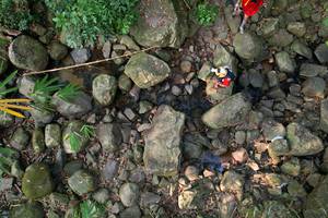 BIB: 
                            <button type="button" onclick="openModal(19589064)" class="btn btn-primary btn-sm float-right btn-popup" data-toggle="modal" data-target=".modal-high-quality">
                        <i class="fas fa-shopping-cart"></i> Add to Cart
                    </button>
                                            <button type="button" onclick="isThisMe(19589064, true)" class="btn btn-success btn-sm float-right btn-popup btn-isme hidden" data-toggle="tooltip" data-placement="bottom" title="นี่คือรูปของคุณใช่ไหม คลิกที่นี่เพื่อเอาเข้าอัลบั้ม">
                        <i class="fas fa-plus"></i> Add to album
                    </button>
                    <button type="button" onclick="isThisMe(19589064, false)" class="btn btn-warning btn-sm float-right btn-popup btn-isnotme hidden">
                        <i class="fas fa-ban"></i> Remove from album
                    </button>