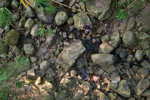 BIB: 
                            <button type="button" onclick="openModal(19589058)" class="btn btn-primary btn-sm float-right btn-popup" data-toggle="modal" data-target=".modal-high-quality">
                        <i class="fas fa-shopping-cart"></i> Add to Cart
                    </button>
                                            <button type="button" onclick="isThisMe(19589058, true)" class="btn btn-success btn-sm float-right btn-popup btn-isme hidden" data-toggle="tooltip" data-placement="bottom" title="นี่คือรูปของคุณใช่ไหม คลิกที่นี่เพื่อเอาเข้าอัลบั้ม">
                        <i class="fas fa-plus"></i> Add to album
                    </button>
                    <button type="button" onclick="isThisMe(19589058, false)" class="btn btn-warning btn-sm float-right btn-popup btn-isnotme hidden">
                        <i class="fas fa-ban"></i> Remove from album
                    </button>