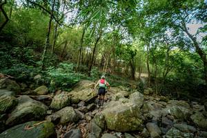 BIB: 
                            <button type="button" onclick="openModal(19589533)" class="btn btn-primary btn-sm float-right btn-popup" data-toggle="modal" data-target=".modal-high-quality">
                        <i class="fas fa-shopping-cart"></i> Add to Cart
                    </button>
                                            <button type="button" onclick="isThisMe(19589533, true)" class="btn btn-success btn-sm float-right btn-popup btn-isme hidden" data-toggle="tooltip" data-placement="bottom" title="นี่คือรูปของคุณใช่ไหม คลิกที่นี่เพื่อเอาเข้าอัลบั้ม">
                        <i class="fas fa-plus"></i> Add to album
                    </button>
                    <button type="button" onclick="isThisMe(19589533, false)" class="btn btn-warning btn-sm float-right btn-popup btn-isnotme hidden">
                        <i class="fas fa-ban"></i> Remove from album
                    </button>