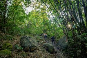 BIB: 
                            <button type="button" onclick="openModal(19589530)" class="btn btn-primary btn-sm float-right btn-popup" data-toggle="modal" data-target=".modal-high-quality">
                        <i class="fas fa-shopping-cart"></i> Add to Cart
                    </button>
                                            <button type="button" onclick="isThisMe(19589530, true)" class="btn btn-success btn-sm float-right btn-popup btn-isme hidden" data-toggle="tooltip" data-placement="bottom" title="นี่คือรูปของคุณใช่ไหม คลิกที่นี่เพื่อเอาเข้าอัลบั้ม">
                        <i class="fas fa-plus"></i> Add to album
                    </button>
                    <button type="button" onclick="isThisMe(19589530, false)" class="btn btn-warning btn-sm float-right btn-popup btn-isnotme hidden">
                        <i class="fas fa-ban"></i> Remove from album
                    </button>