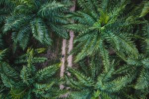 BIB: 
                            <button type="button" onclick="openModal(19589049)" class="btn btn-primary btn-sm float-right btn-popup" data-toggle="modal" data-target=".modal-high-quality">
                        <i class="fas fa-shopping-cart"></i> Add to Cart
                    </button>
                                            <button type="button" onclick="isThisMe(19589049, true)" class="btn btn-success btn-sm float-right btn-popup btn-isme hidden" data-toggle="tooltip" data-placement="bottom" title="นี่คือรูปของคุณใช่ไหม คลิกที่นี่เพื่อเอาเข้าอัลบั้ม">
                        <i class="fas fa-plus"></i> Add to album
                    </button>
                    <button type="button" onclick="isThisMe(19589049, false)" class="btn btn-warning btn-sm float-right btn-popup btn-isnotme hidden">
                        <i class="fas fa-ban"></i> Remove from album
                    </button>